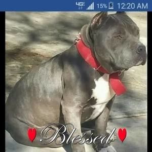 Meet your Posher, Jeffery